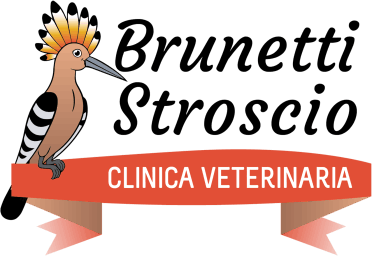Clinica Veterinaria Brunetti Stroscio - Logo