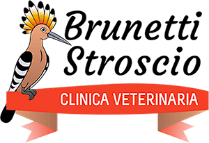 Logo Clinica Veterinaria brunetti